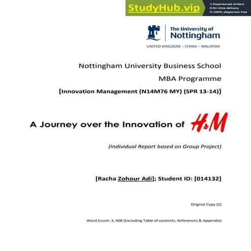 A Journey over the Innovation of H M.pdf