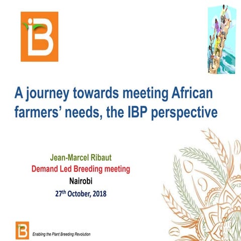 A journey towards meeting African farmers’ needs, the IBP perspective.pptx
