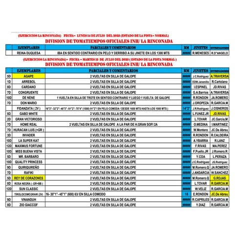 Ajustes La Rinconada miércoles 160725.pdf
