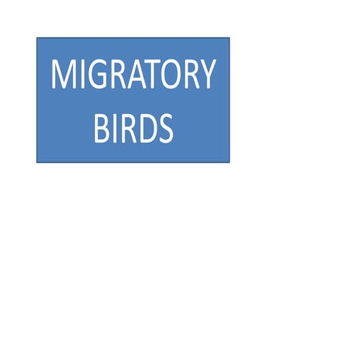 Reasons and Patterns of Migration