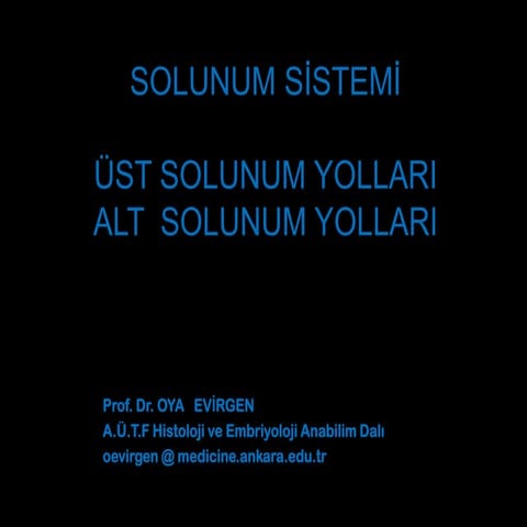 solunum sistemi histolojisi ( alt ve ust ) | PDF