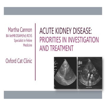 Acute Kidney injury _Acute Kidney Disease.pptx