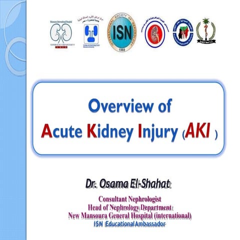 aki-sudan20171-170930144313 - Copy.pptx