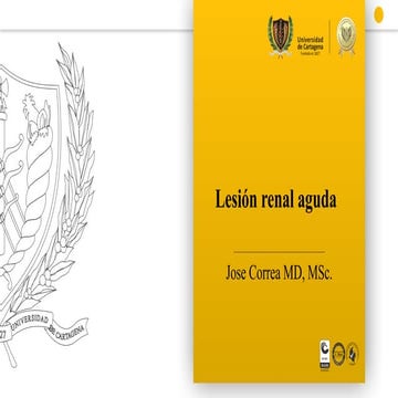 LESION RENAL AGUDA EN PACIENTE ADULTO Y SU MANEJO