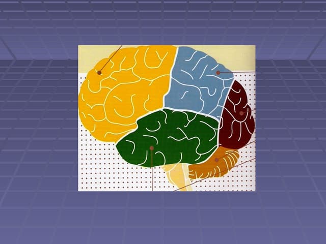 Test slideshow | PDF