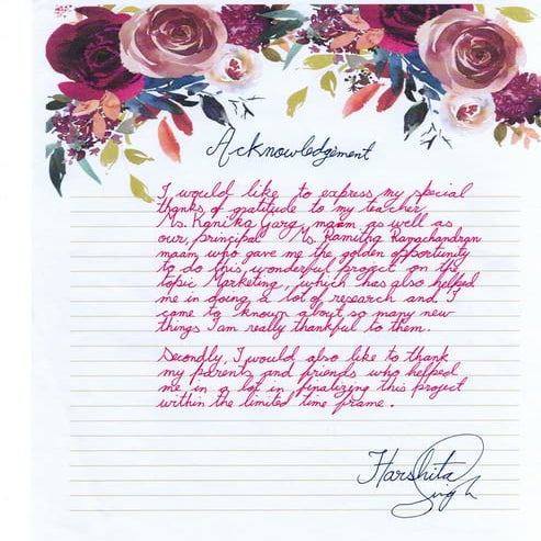 Class 12 business project on chocolate 