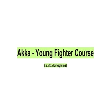 Akka - young fighter course