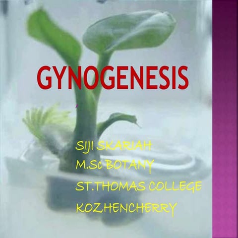 gynogenesis