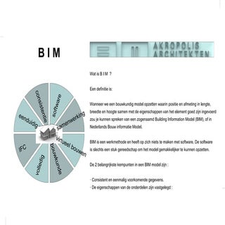 Akro Bim Flyer