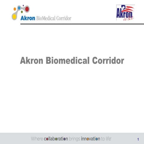 Akron BioMedical Corridor Overview