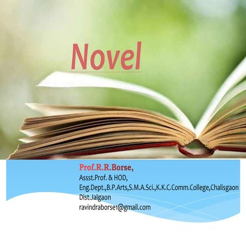 Novel