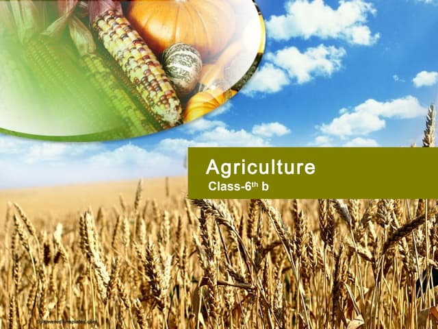 agriculture ( ppt made by akshit.ma...