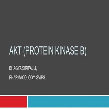 Akt protein kinase b