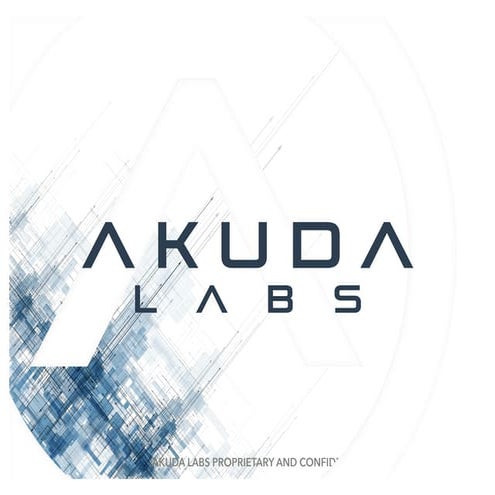 AKUDA Labs: Pulsar