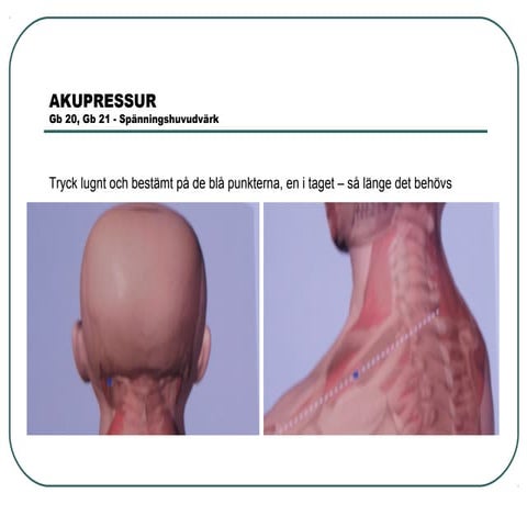 Akupressur bilder program