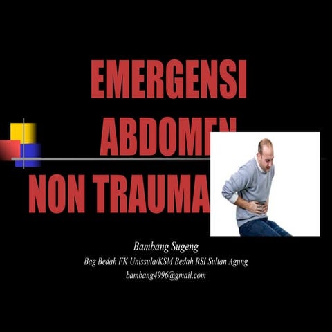 X-Ray Abdomen Lena.pdf