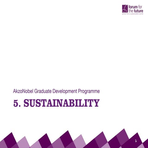 AkzoNobel - GTP - 7th May 2013