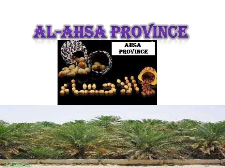Al ahsa province