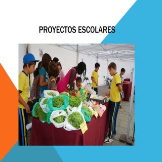 PROYECTOS
