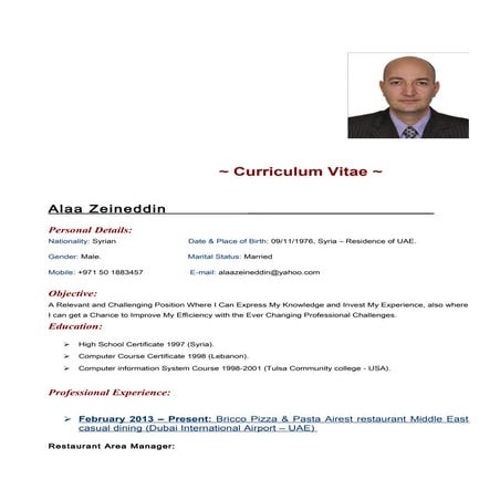 Alaa c.v copy | DOC
