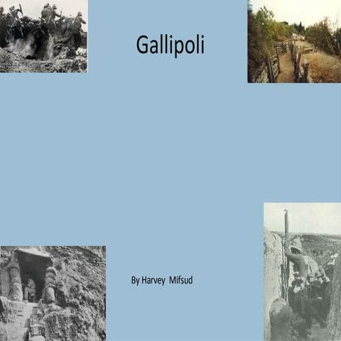 Gallipoli