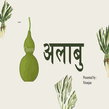 Alabu.pptx.alabu dg medicine plant and use | PPTX