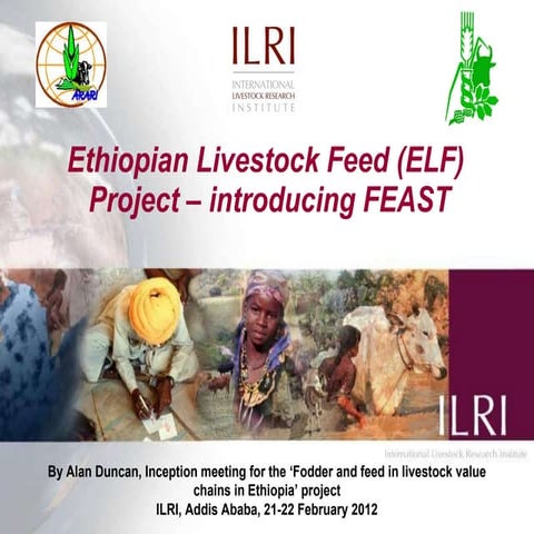 Ethiopian Livestock Feed (ELF) Project: Introducing FEAST