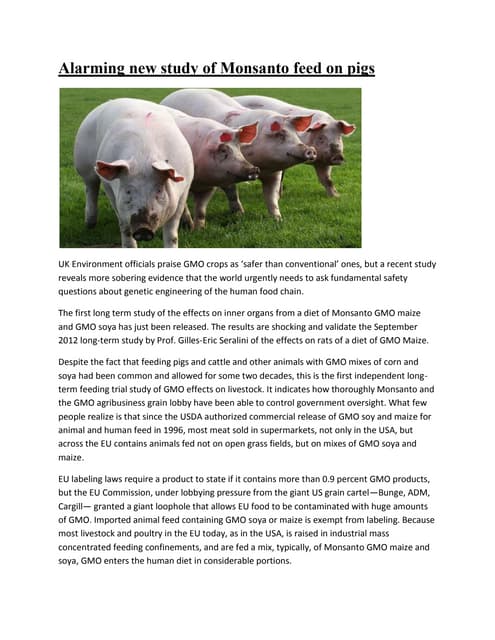 Alarming new study of monsanto feed on pigs
