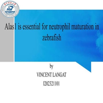 Alas1 is essential for neutrophil maturation in.pptx