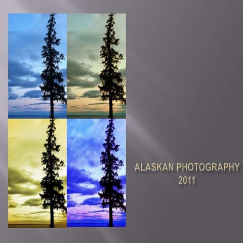 Alaskan photography slide show | PPTX
