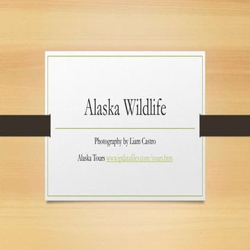 Alaska wildlife | PPTX