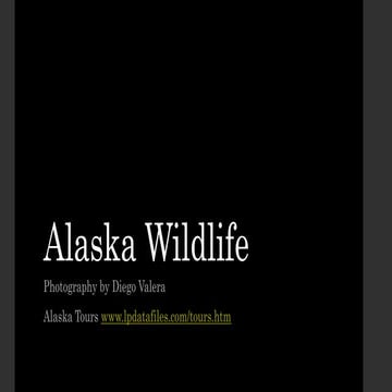 Alaska wildlife | PPTX