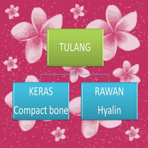 Alat gerak-aktif untuk kelas 8 SMP