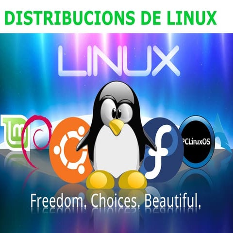 Distribucions linux | ODP