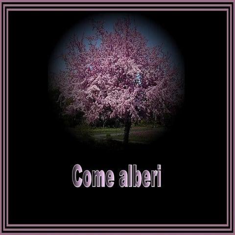 Albero1
