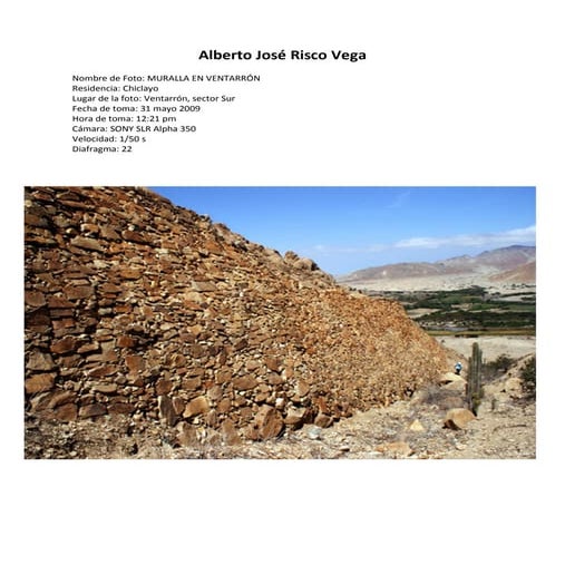 Alberto josé Risco Vega PDF