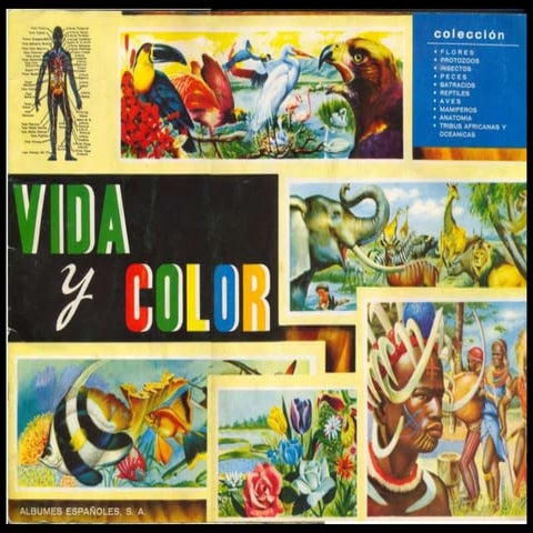 Album VIDA y COLOR