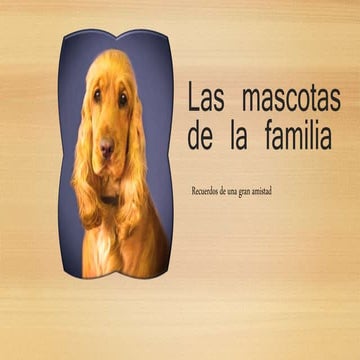 La familia y los amigos | PPSX