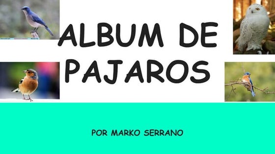 ALBUM DE PAJAROS.pptxvhjgjhghjghjghjghjghj