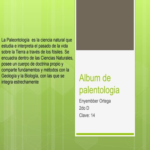 Album de palentologia enyembber