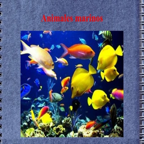 Álbum de animales marinos