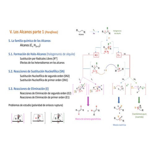 alcanos-halogenacion.pdf