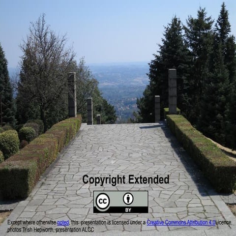 Alcc copyright extended