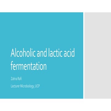 Alcoholic and lactic acid fermentation_lesson 2.pptx