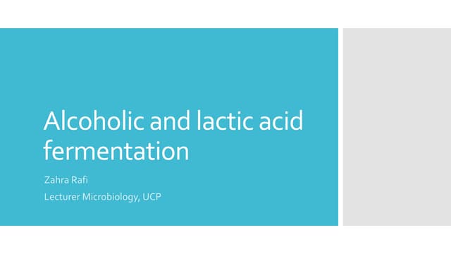 Alcoholic and lactic acid fermentation_lesson 2.pptx