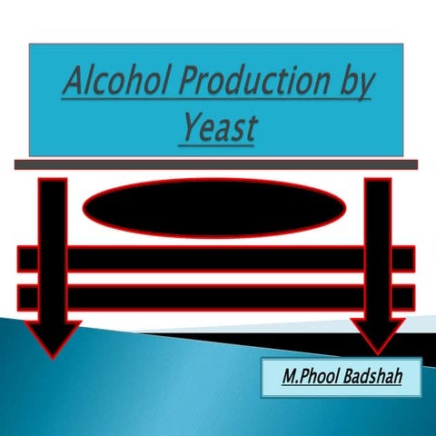 Alcohol Production by Yeast.pptx