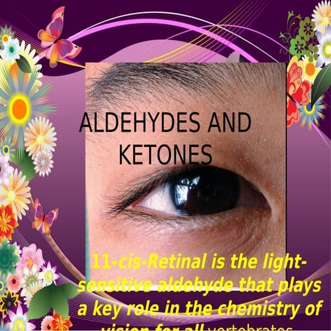 Aldehydes-and-Ketones-by-Group-6_20230920_072912_0000 (1).pdf