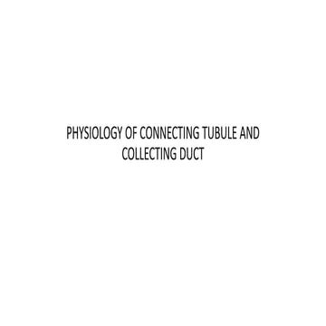 PHYSIOLOGY OF CONNECTING TUBULE AND COLLECTING DUCT