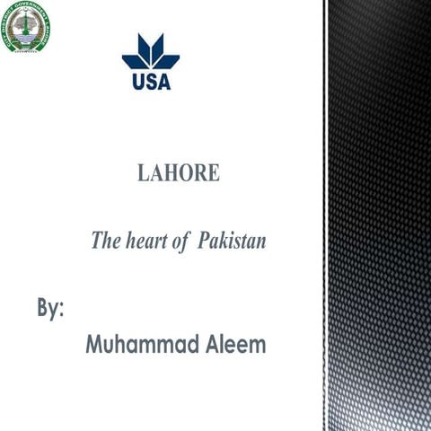 Aleem's environmental