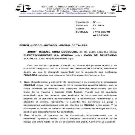 Alegato  laboral 2015